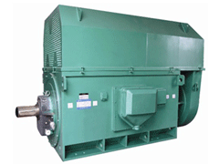Y6302-10/1000KWY系列6KV高压电机