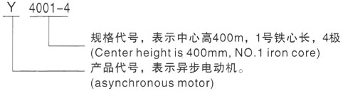 西安泰富西玛Y系列(H355-1000)高压Y6302-10/1000KW三相异步电机型号说明